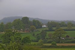 Frogmore Lane, East Budleigh Wallpaper