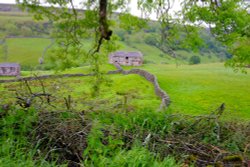 Beautiful countryside on Swaledale with its amazing stone walls and rural hedgrows Wallpaper