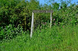 Kersbrook near Budleigh Salterton Wallpaper