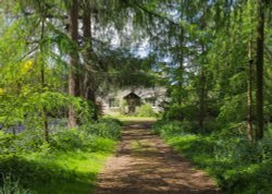 Beautiful Woodland Cottage, Kent Wallpaper