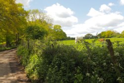 Rural Kentish Lane Wallpaper