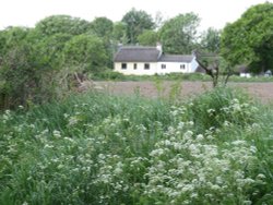 Beautiful thatched cottage near Christchurch Wallpaper