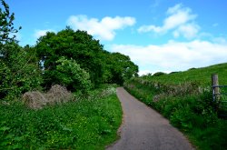 Park Lane at Budleigh Salterton Wallpaper