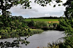 River Teviot, Coldstream Wallpaper