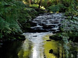 River Worth, Haworth Wallpaper