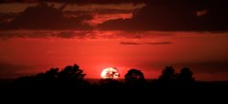 Sunset from near Wrens Warren Valley, Ashdown Forest Wallpaper