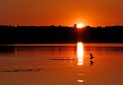 Sunset over Bewl Water, near Wadhurst, East Sussex Wallpaper