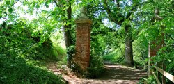 Budleigh Saltrerton - Park Lane Wallpaper