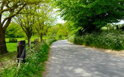 Kent country lane Wallpaper