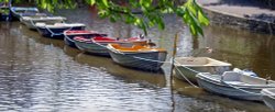 Rowing boats in the botanic gardens Wallpaper