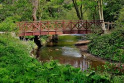 Wooden Bridge, Constable Burton Gardens Wallpaper