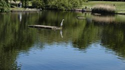 Greenbank Park, Liverpool. Wallpaper