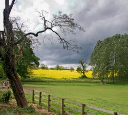 May time in Cottesbrooke Wallpaper