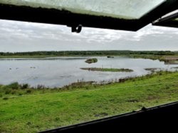 From the Family Hide RSPB Old Moor Wallpaper