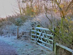 Frosty Gate RSPB Old Moor Wallpaper