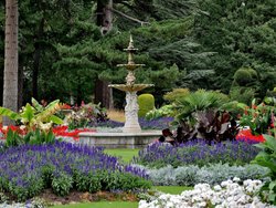 Gardens at Brodsworth Hall Wallpaper