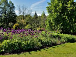 Gardens at RHS Harlow Carr Wallpaper