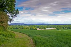 Overlooking the South Downs at Elsted Wallpaper