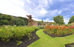 Hever Castle Rose Garden Wallpaper