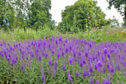 Diana Walk, Hever Castle Wallpaper