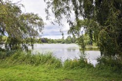 Lake Walk, Hever Castle Wallpaper