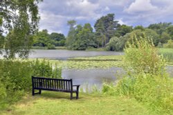 Lake Walk, Hever Castle Wallpaper