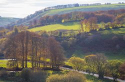 Barle valley, Simonsbath, Exmoor Wallpaper