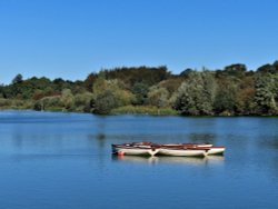 Lake at Hatfield Forest near Takeley Wallpaper