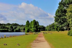 Lake at Clumber Park Worksop Wallpaper