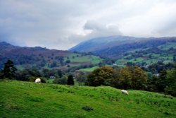 Loughrigg Fell, Ambleside Wallpaper