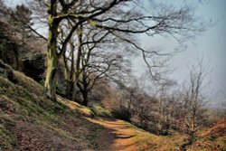 Otley Chevin Wallpaper