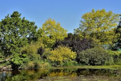 RHS Harlow Carr Gardens Wallpaper