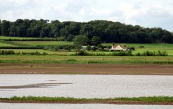 Steart Marshes Wallpaper