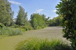 Hoveton Hall Garden Wallpaper