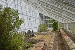 Hoveton Hall Garden Greenhouse Wallpaper