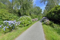 Hoveton Hall Garden Wallpaper