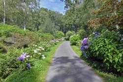 Hoveton Hall Garden Wallpaper