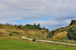 Rabbit Ings Country Park Royston Wallpaper