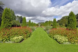 Abbeywood Gardens, Delamere Wallpaper