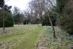 Snowdrops in the churchyard at pyrton Wallpaper