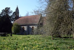 St. Mary's Church, Pyrton, with spring daffodils in the churchyard