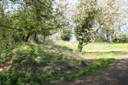 Some of the earthworks of Deddington Castle, Deddington Wallpaper