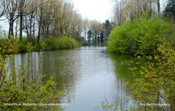 Mound Pond, Badminton Park, Gloucestershire 2012 Wallpaper