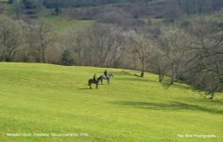 Beaufort Hunt, Tresham Gloucestershire 2015 Wallpaper