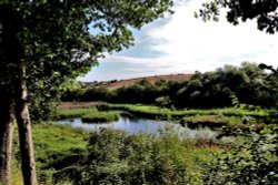 Carlton Marsh Nature Reserve Wallpaper