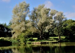 Dearne Valley Park Barnsley Wallpaper