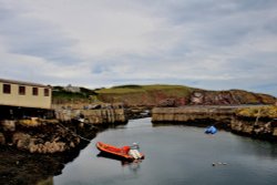 St Abbs Harbour Wallpaper