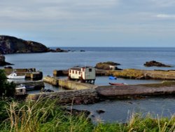 St Abbs Harbour and Lifeboat Station Wallpaper