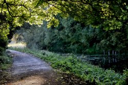 Barnsley Canal Wallpaper