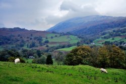 Loughrigg Fell, Ambleside Wallpaper